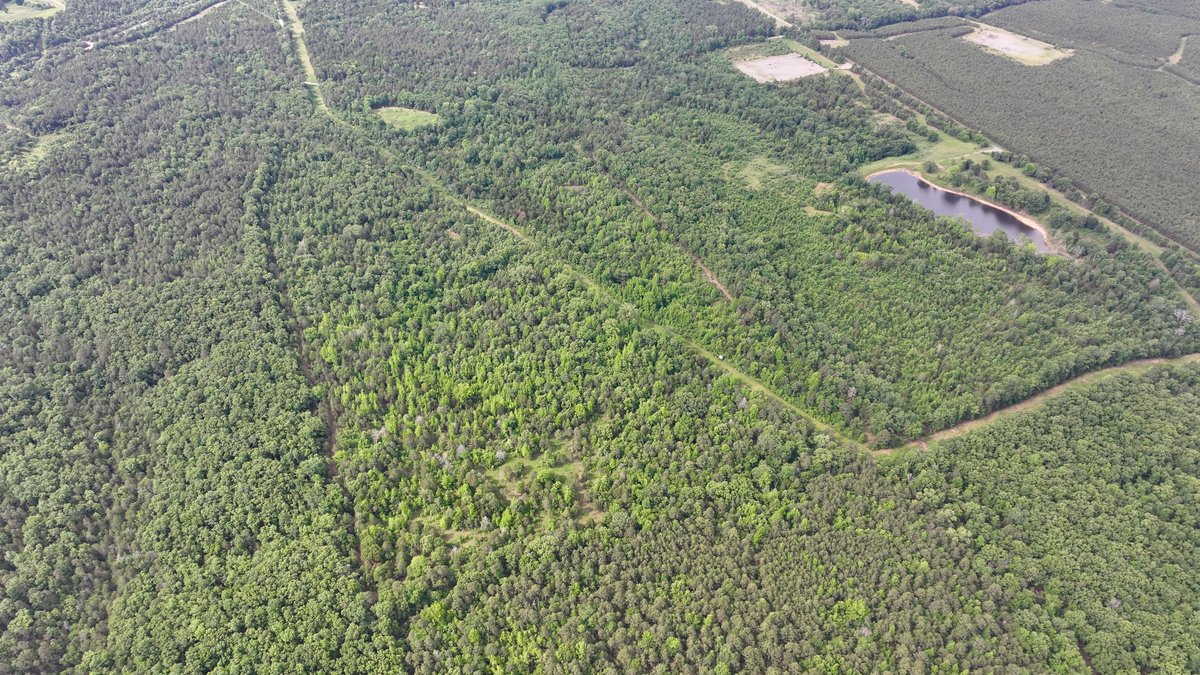 Image for Land Auction - 80+/- Acres Near Center Ridge, AR