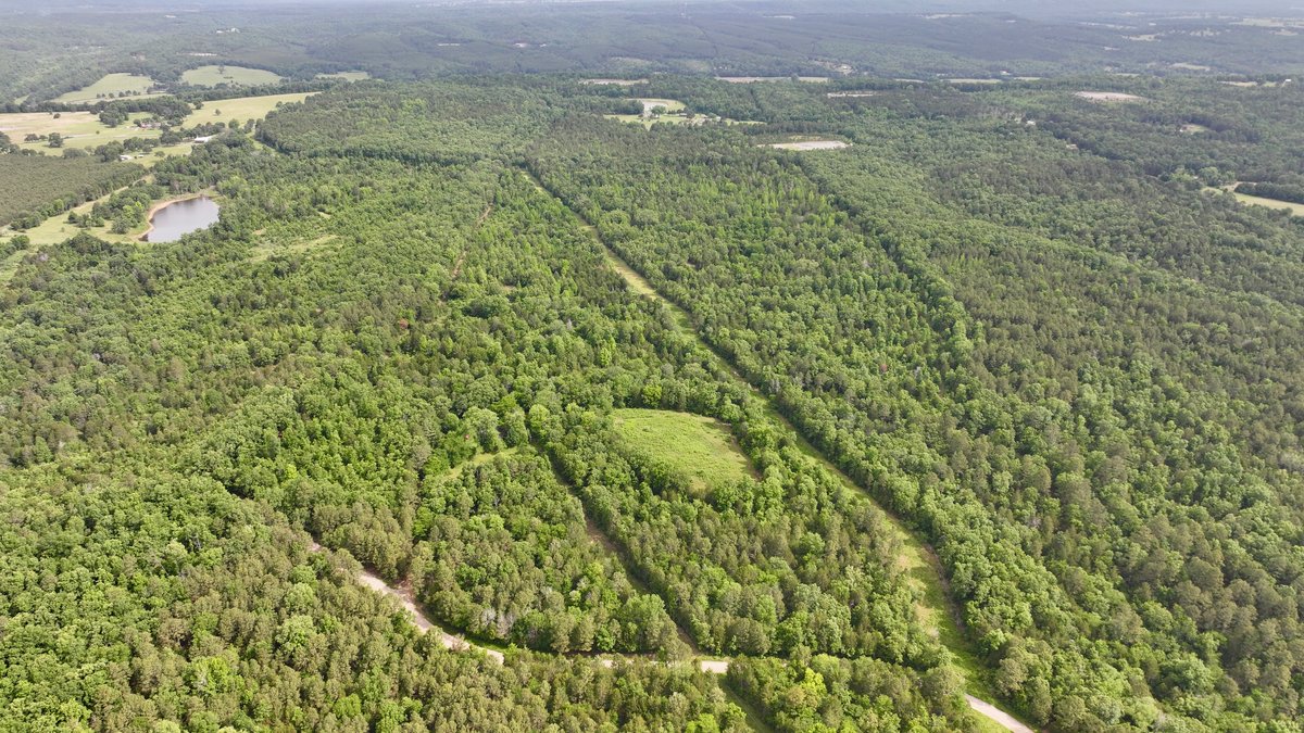 Image for Land Auction - 80+/- Acres Near Center Ridge, AR