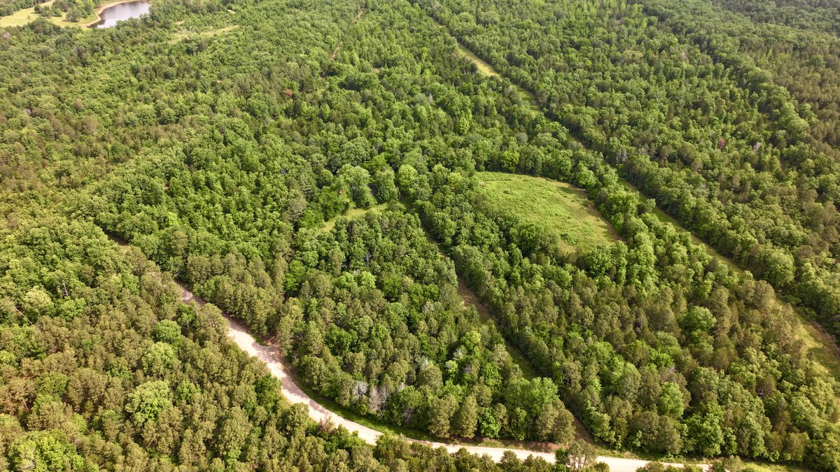Image for Land Auction - 80+/- Acres Near Center Ridge, AR
