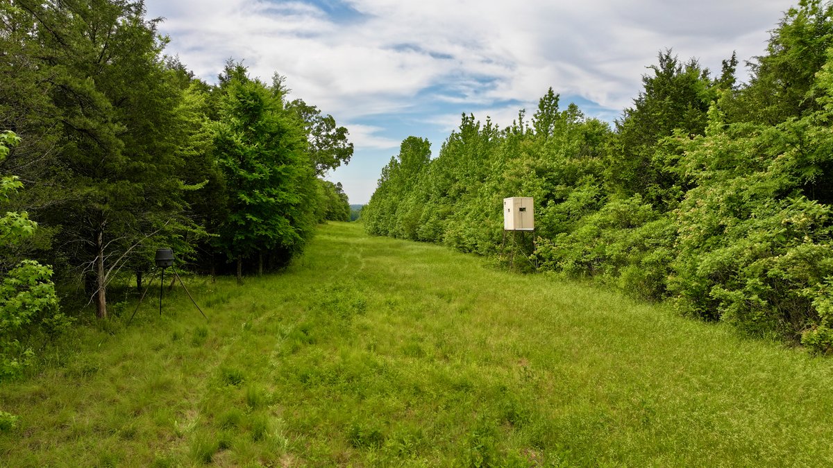 Image for Land Auction - 80+/- Acres Near Center Ridge, AR
