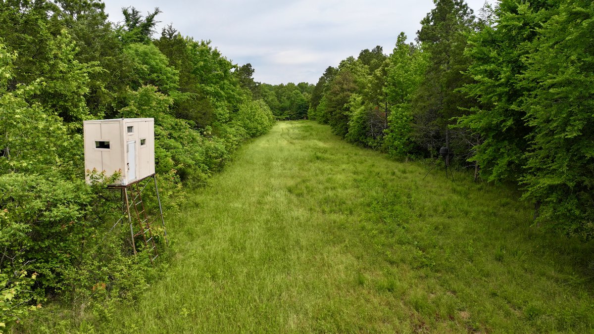 Image for Land Auction - 80+/- Acres Near Center Ridge, AR