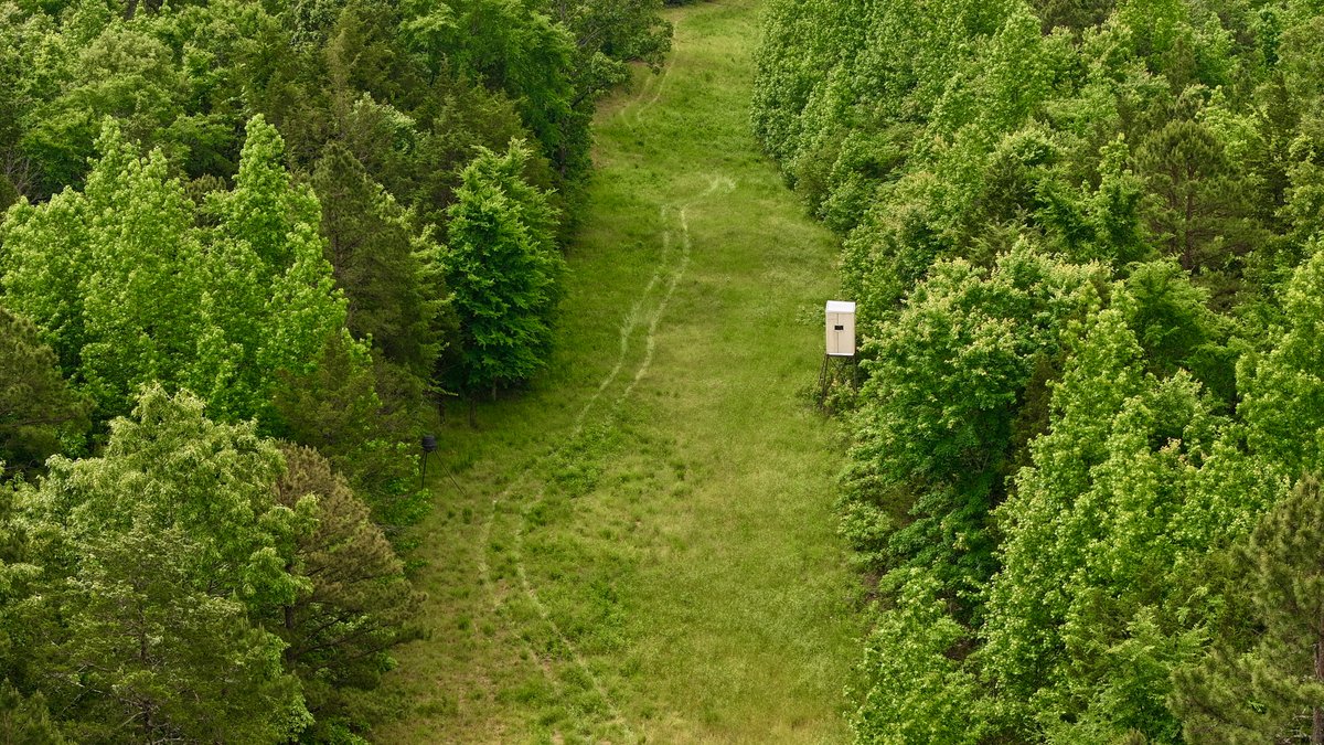 Image for Land Auction - 80+/- Acres Near Center Ridge, AR