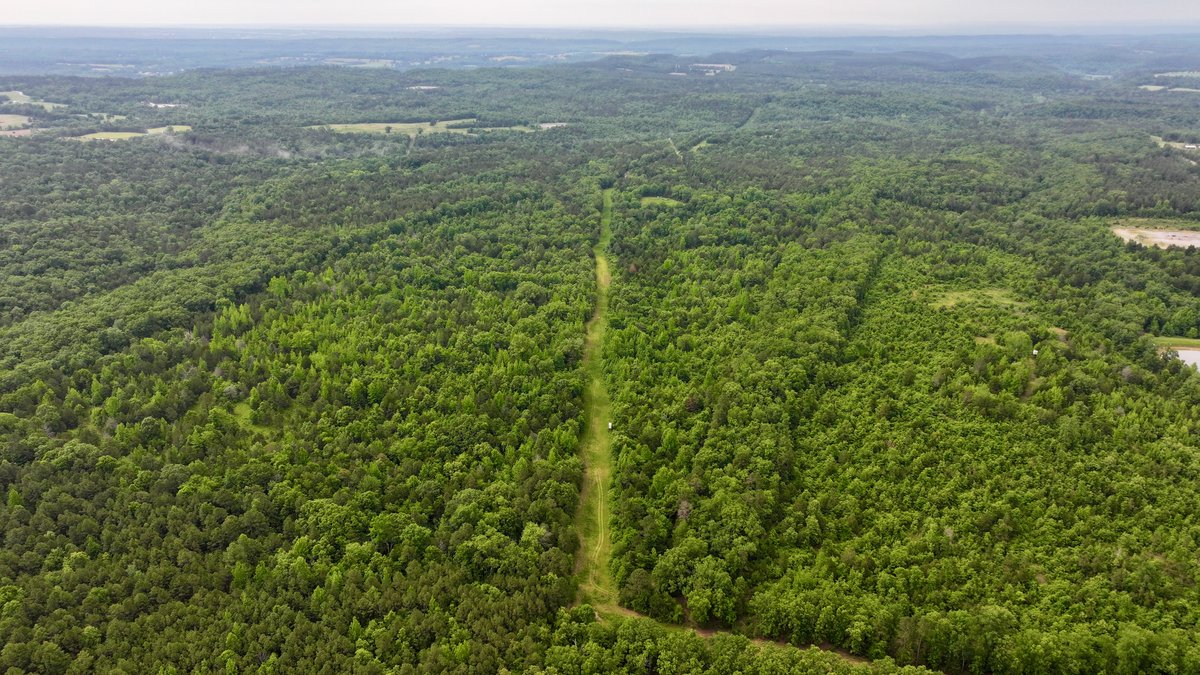 Image for Land Auction - 80+/- Acres Near Center Ridge, AR
