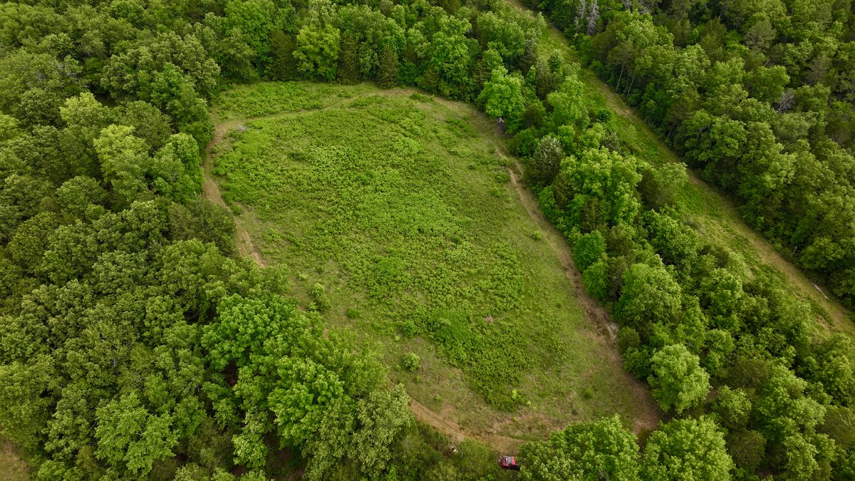 Image for Land Auction - 80+/- Acres Near Center Ridge, AR