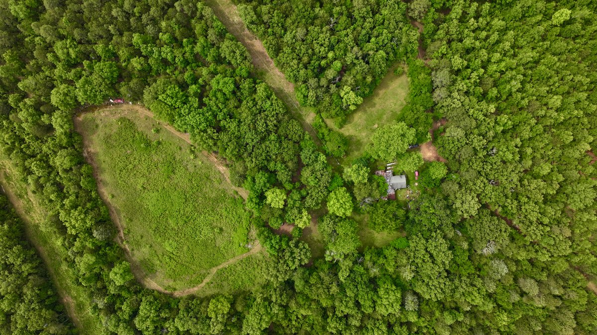 Image for Land Auction - 80+/- Acres Near Center Ridge, AR