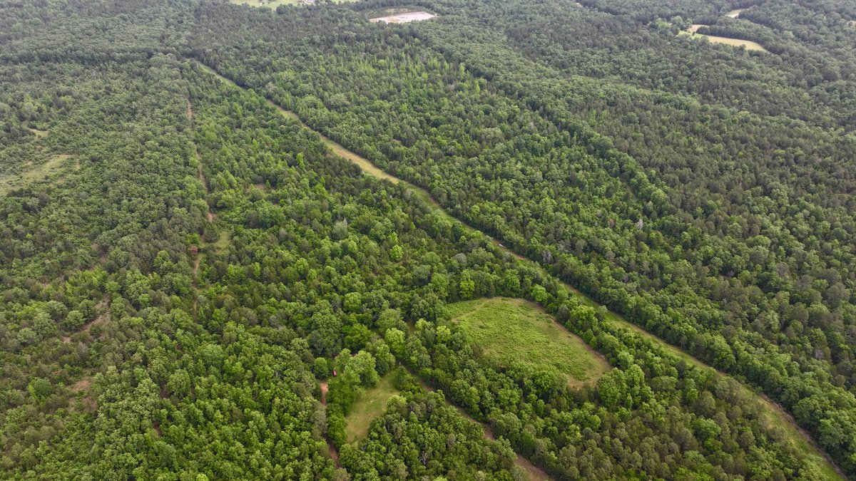 Image for Land Auction - 80+/- Acres Near Center Ridge, AR