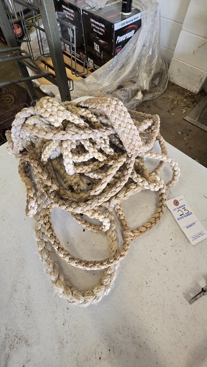 3 Braided Horse Halters