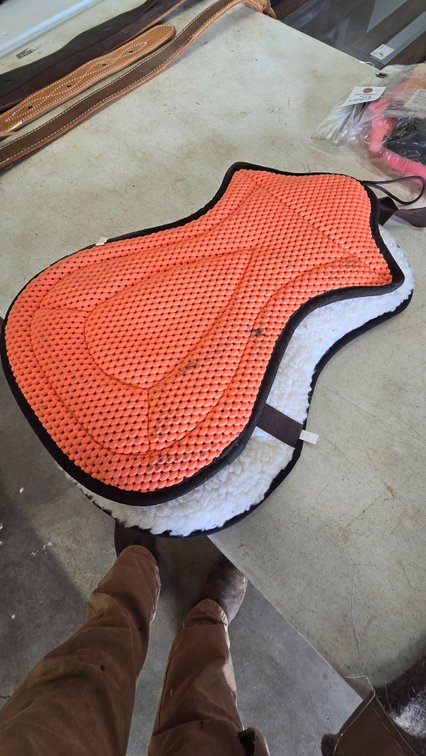 2 Horse Saddle Pads