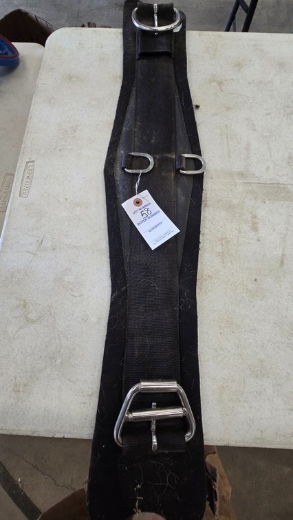 Neoprene Saddle Cinch - 36"