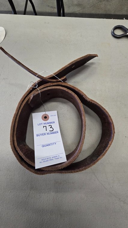 Leather Strap