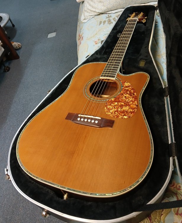Zager ZAD 80CN Z Acoustic Guitar