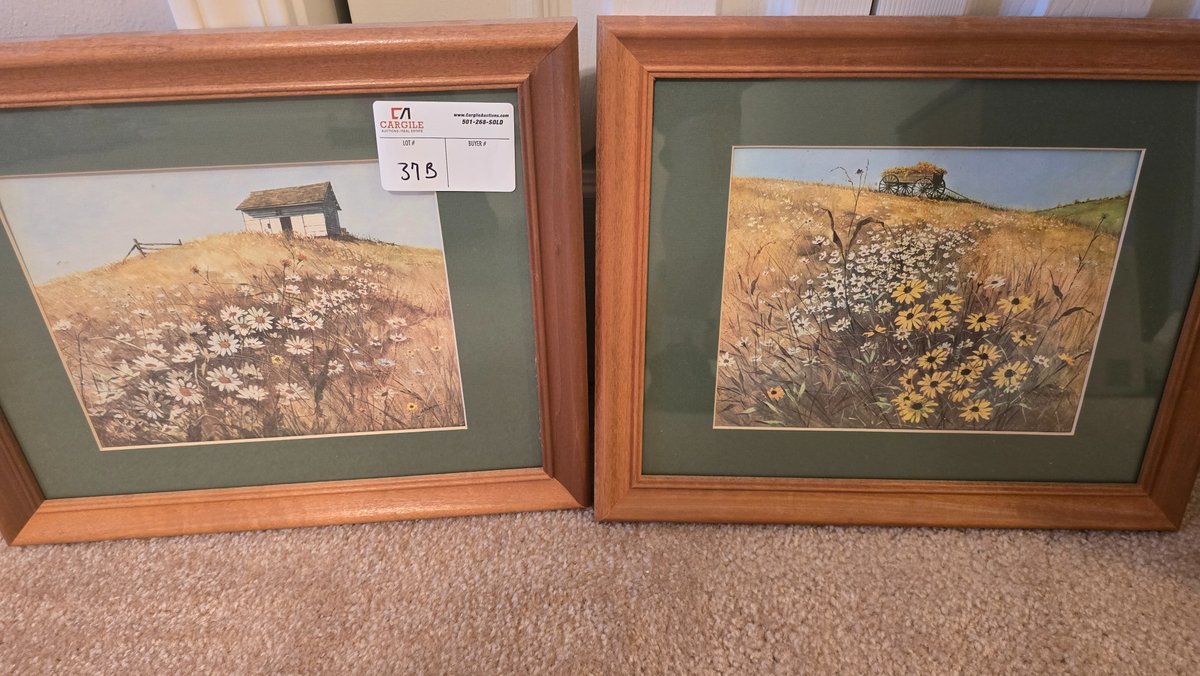 Pictures (wildflowers)