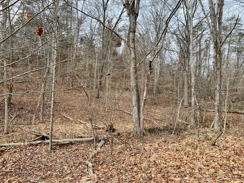 Image for 4 BR/2.5 BA Home w/Basement, Barn & Hazel River Frontage on 28.4 +/- Acres in Culpeper & Rappahannock County, VA--SELLING to the HIGHEST BIDDER via ONLINE ONLY BIDDING!!