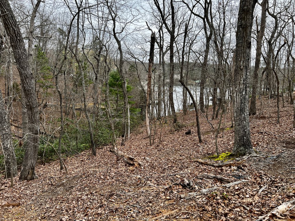 Image for Lot 1