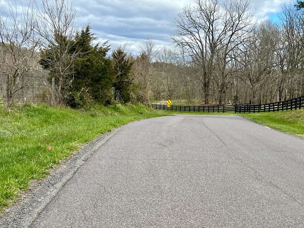 Image for 10 +/- Acre Parcel w/1,500' +/- of Road Frontage & Mountain Views in Culpeper County, VA--SELLING to the HIGHEST BIDDER!!