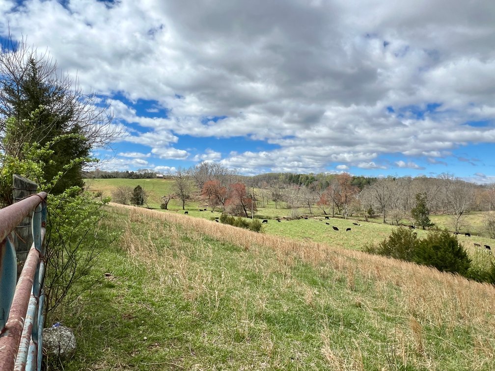 Image for 10 +/- Acre Parcel w/1,500' +/- of Road Frontage & Mountain Views in Culpeper County, VA--SELLING to the HIGHEST BIDDER!!
