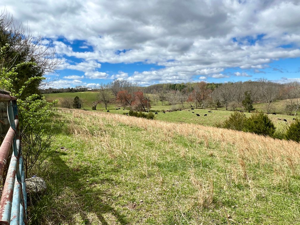 Image for 10 +/- Acre Parcel w/1,500' +/- of Road Frontage & Mountain Views in Culpeper County, VA--SELLING to the HIGHEST BIDDER!!