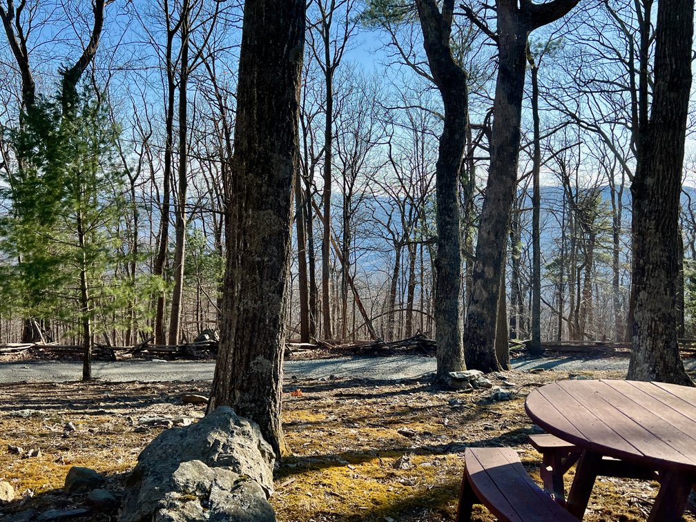 Image for 4 BR/1.5 BA Period Correct Relocated 1850's Log Cabin on 10 +/- Acres w/Amazing Mountain Views in Greene County, VA--ONLINE ONLY BIDDING!!