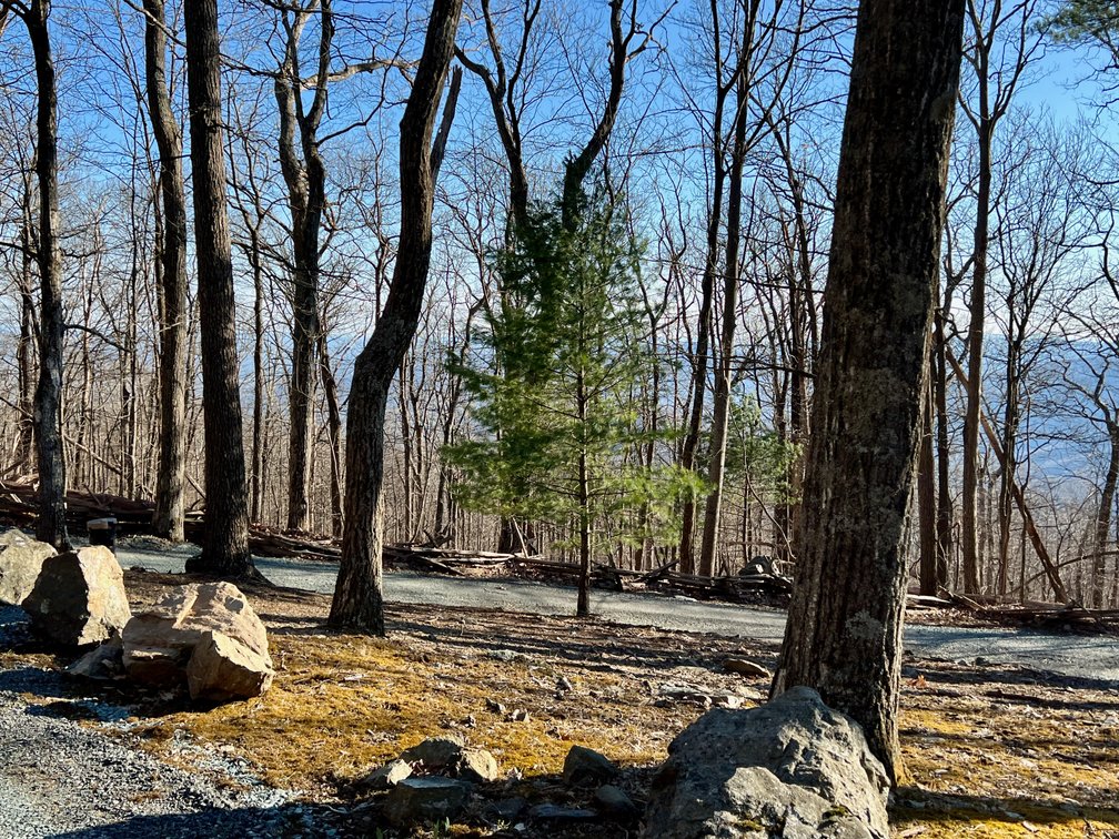 Image for 4 BR/1.5 BA Period Correct Relocated 1850's Log Cabin on 10 +/- Acres w/Amazing Mountain Views in Greene County, VA--ONLINE ONLY BIDDING!!