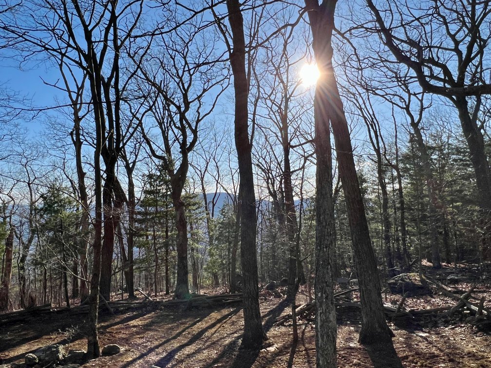 Image for 4 BR/1.5 BA Period Correct Relocated 1850's Log Cabin on 10 +/- Acres w/Amazing Mountain Views in Greene County, VA--ONLINE ONLY BIDDING!!