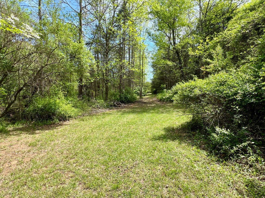 Image for Lot 1