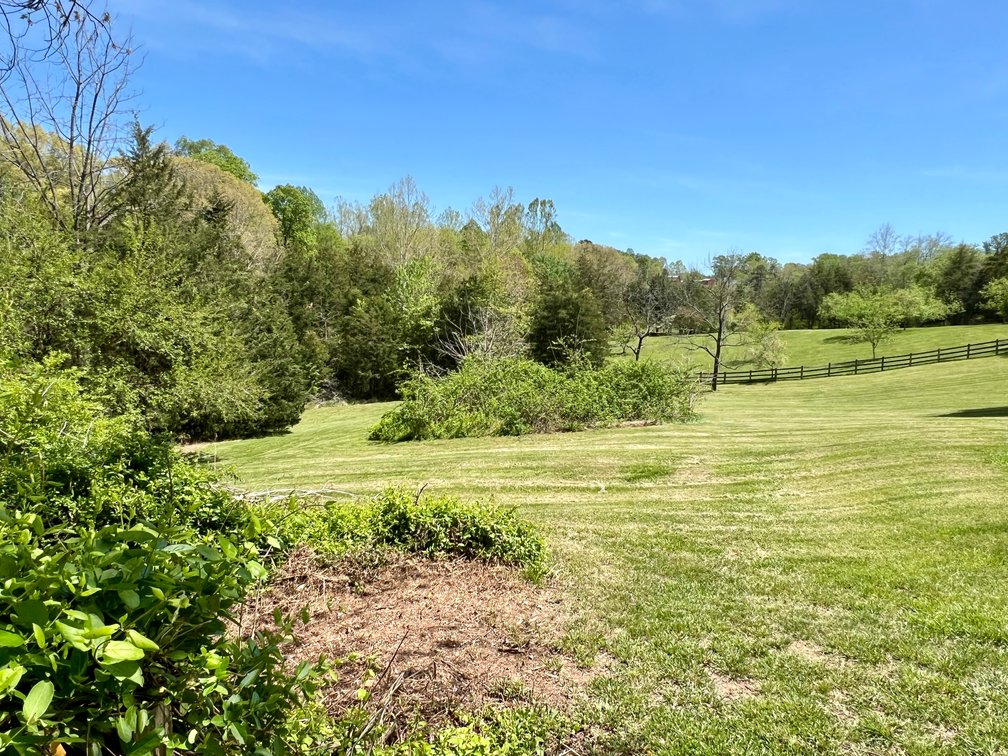 Image for Lot 1