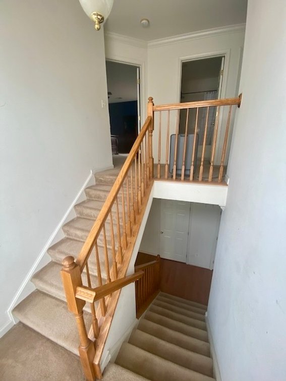 Image for Lot 1