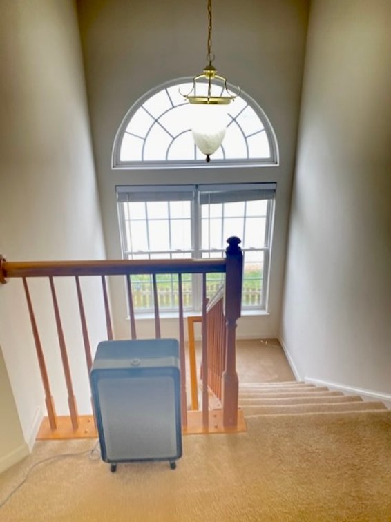 Image for Lot 1