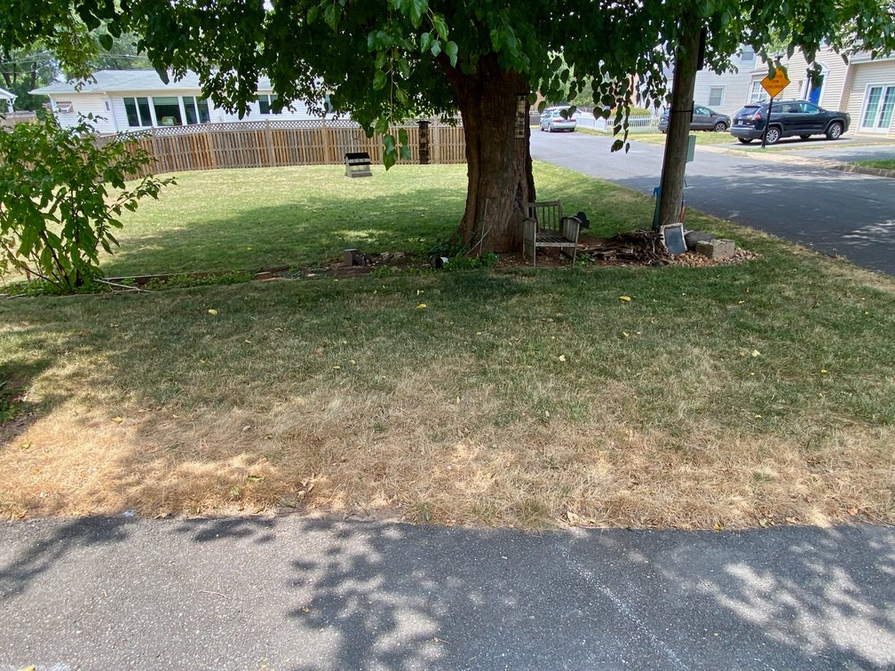 Image for 4 BR/3 BA Home & Adjacent .14 +/- Acre Vacant Lot in The Town of Leesburg, VA--SELLING to the HIGHEST BIDDER!!