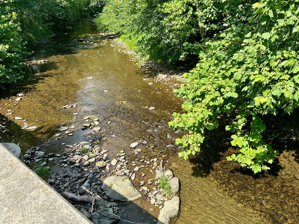 Image for 4 BR/2 BA Log Home on 7.9 +/- Acres w/400' +/- of Rapidan River Frontage & 2 Shops/Garages--Madison County, VA