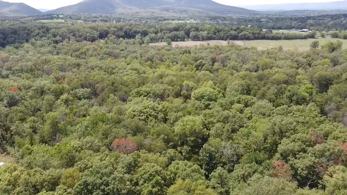 Image for 6.48 +/- Acre Land Parcel w/430' +/- of Passage Creek Frontage in Warren County, VA--ONLINE ONLY BIDDING!!