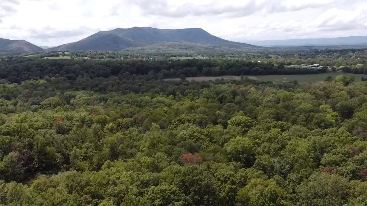 Image for 6.48 +/- Acre Land Parcel w/430' +/- of Passage Creek Frontage in Warren County, VA--ONLINE ONLY BIDDING!!
