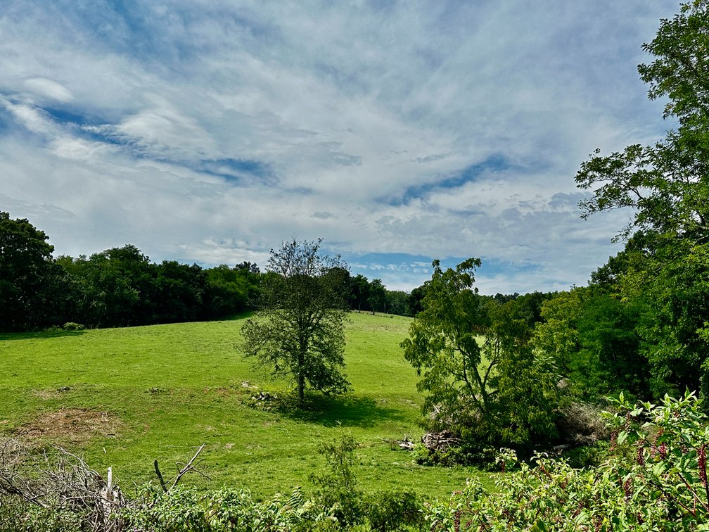 Image for 39.25 +/- Acres w/3 BR Farm House, 2 Poultry Houses, Loafing Shed & Litter Storage Shed--Rockingham County, VA