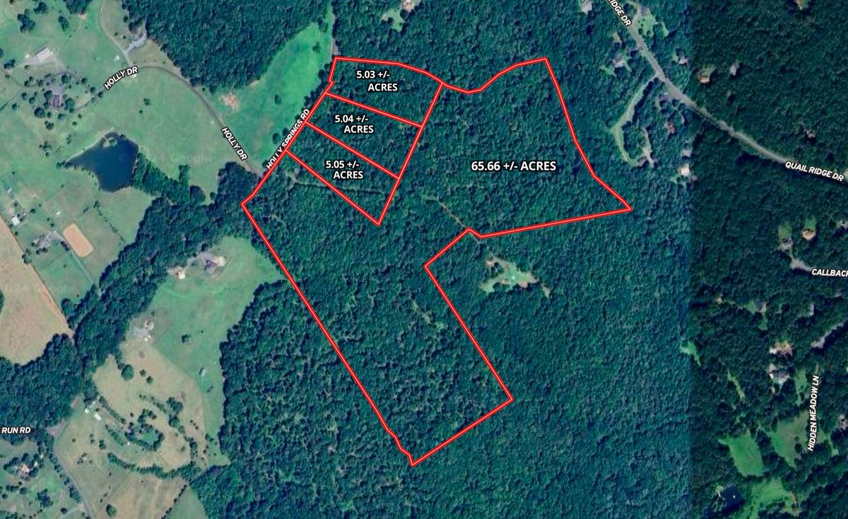 Image for 5.03 +/- Acre Wooded Land Parcel w/240' +/- of Road Frontage in Culpeper County, VA--ONLINE ONLY BIDDING!!
