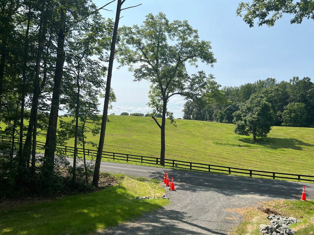 Image for 5.03 +/- Acre Wooded Land Parcel w/240' +/- of Road Frontage in Culpeper County, VA--ONLINE ONLY BIDDING!!