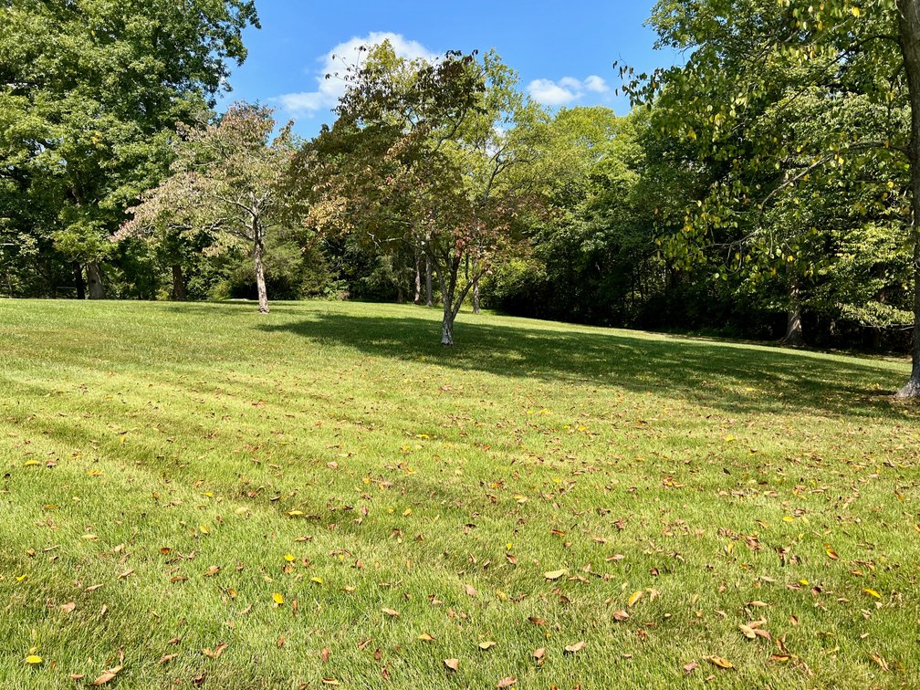 Image for 4 BR/3 BA Brick Home w/Walk-Out Basement on 5.4 +/- Acres in Nokesville, VA--Prince William County
