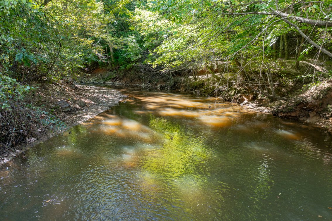 Image for 102 +/- Acre Timber Tract w/Large Amount of Frontage on 2 Roads--Lunenburg County, VA