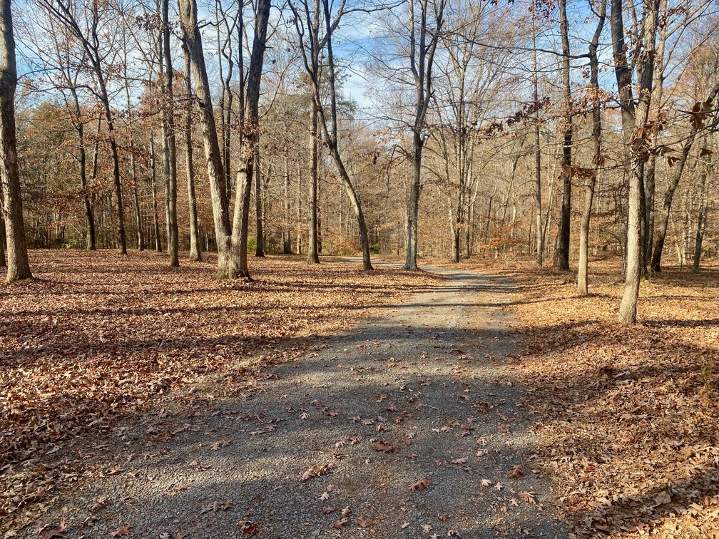 Image for 3 BR/3.5 BA Custom Home w/Walk-Out Basement, Large Shop/Garage & More on 7.6 +/- Acres in Orange County, VA