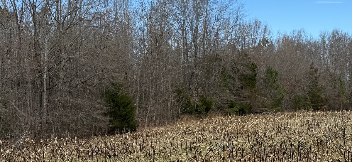 Image for 45.19 +/- Acre Estate Building Lot in Spotsylvania County, VA-- SELLING to the HIGHEST BIDDER via ONLINE ONLY BIDDING!!