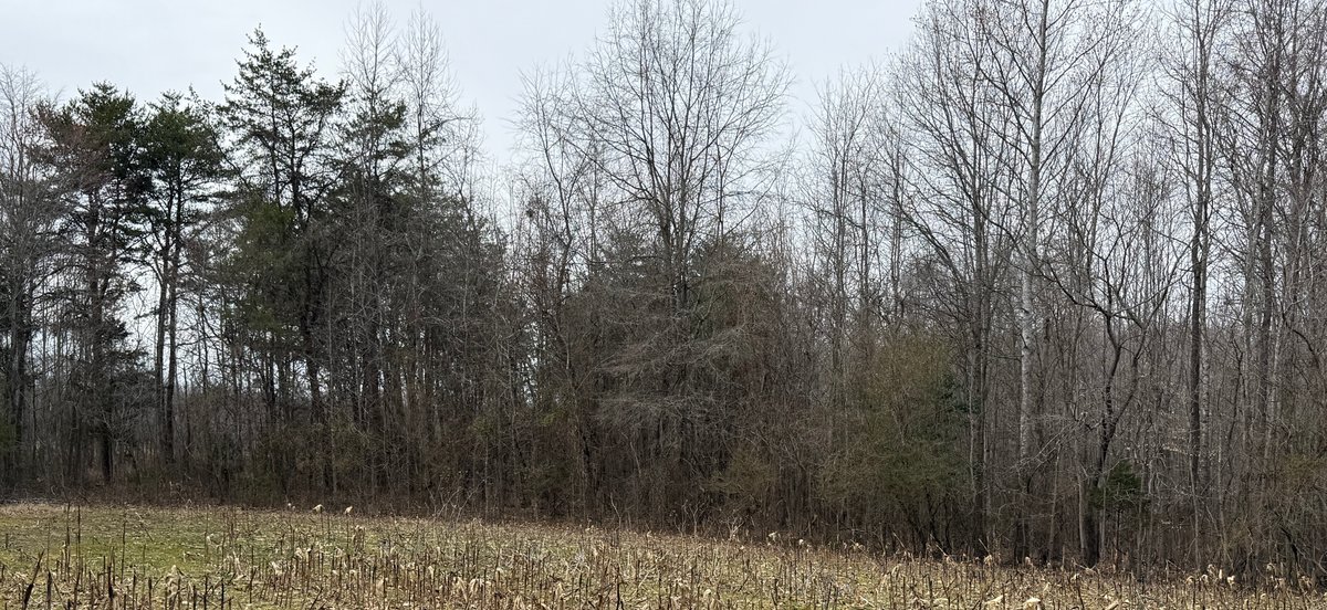 Image for 45.19 +/- Acre Estate Building Lot in Spotsylvania County, VA-- SELLING to the HIGHEST BIDDER via ONLINE ONLY BIDDING!!