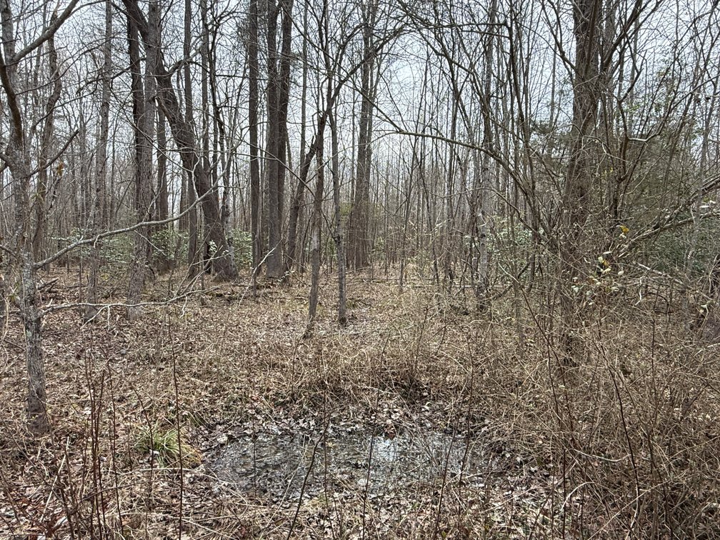 Image for 15.12 +/- Acre Estate Building Lot in Spotsylvania County, VA-- SELLING to the HIGHEST BIDDER via ONLINE ONLY BIDDING!!