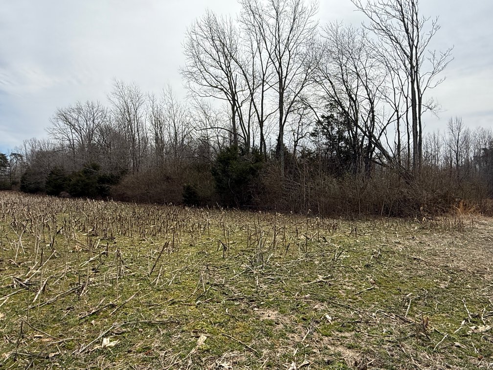 Image for 15.12 +/- Acre Estate Building Lot in Spotsylvania County, VA-- SELLING to the HIGHEST BIDDER via ONLINE ONLY BIDDING!!
