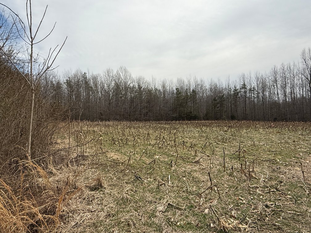 Image for 15.12 +/- Acre Estate Building Lot in Spotsylvania County, VA-- SELLING to the HIGHEST BIDDER via ONLINE ONLY BIDDING!!