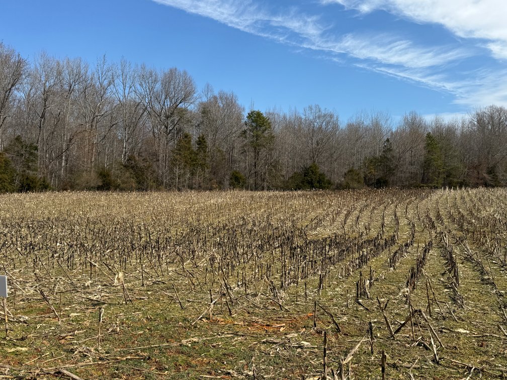 Image for 15.68 +/- Acre Estate Building Lot in Spotsylvania County, VA-- SELLING to the HIGHEST BIDDER via ONLINE ONLY BIDDING!!