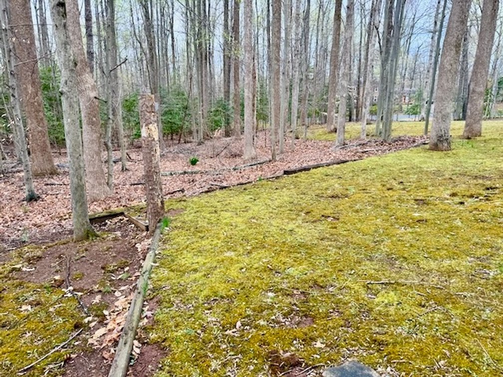 Image for 4 BR/3 BA Home on 2.4 +/- Wooded Acres in the Woodbine Forest Neighborhood of Prince William County, VA