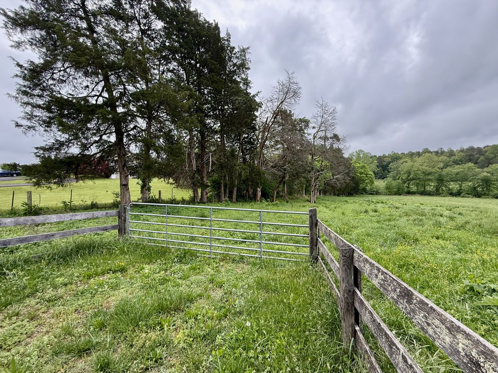 Image for 6.32 +/- Acre Land Parcel w/Road Frontage & Partial Fencing in Orange County, VA--SELLING to the HIGHEST BIDDER!!