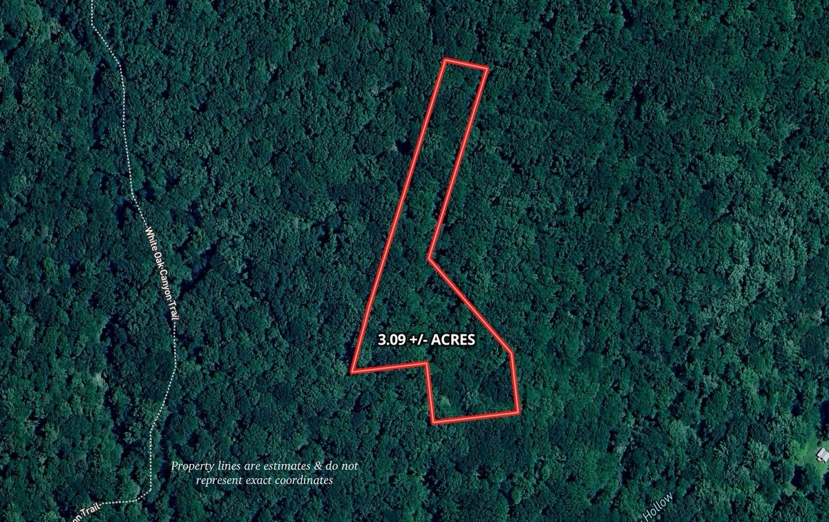 Image for 3.1 +/- Acre Wooded Building Lot w/Approved Drain Field Site Adjacent to Shenandoah National Park in Madison County, VA--ONLINE ONLY BIDDING!!