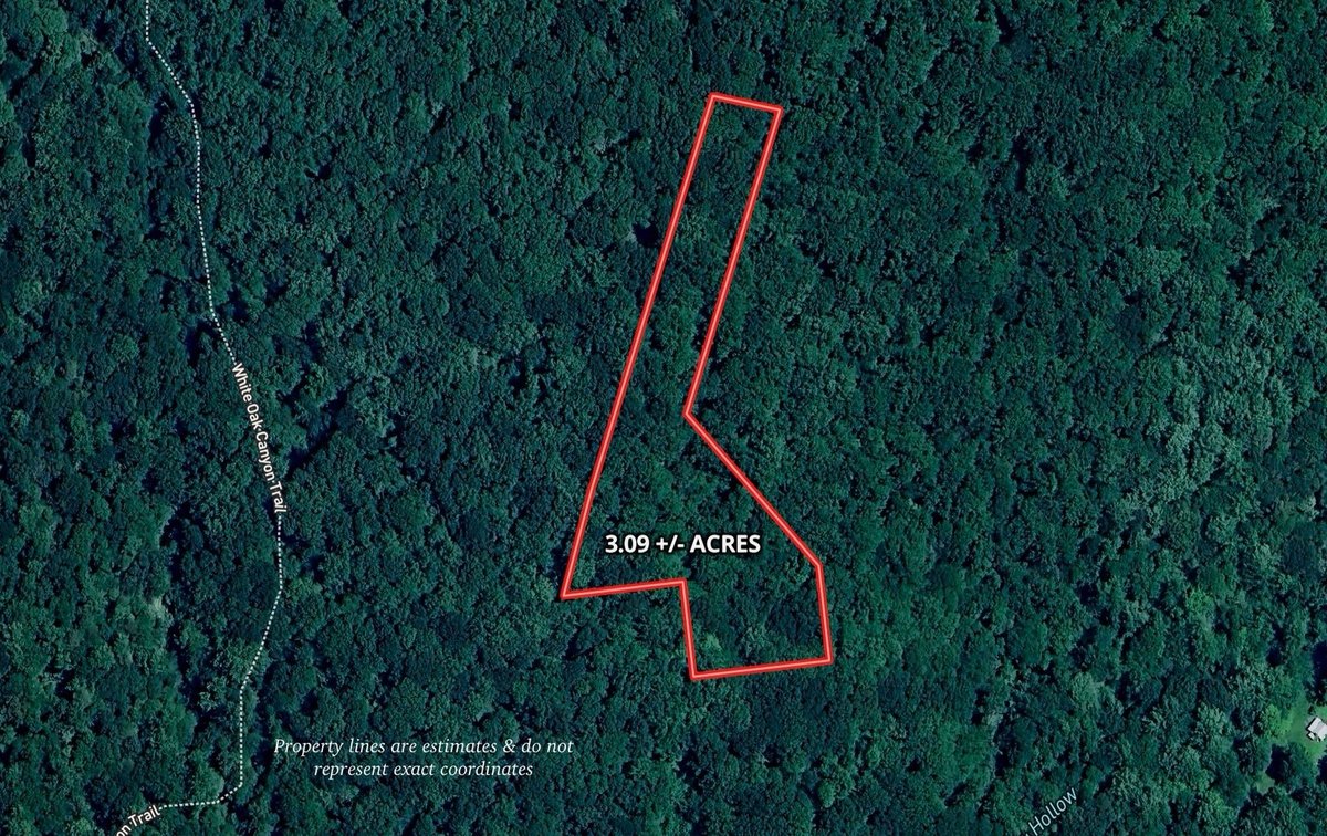 Image for 3.1 +/- Acre Wooded Building Lot w/Approved Drain Field Site Adjacent to Shenandoah National Park in Madison County, VA--ONLINE ONLY BIDDING!!
