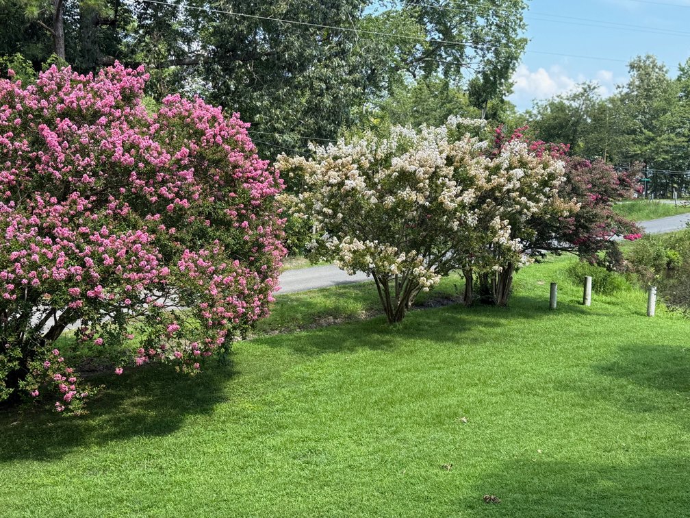 Image for 3 BR/2 BA Brick Home w/Basement Fronting Pond & Views of Mattox Creek in Colonial Beach, VA--SELLING to the HIGHEST BIDDER!!