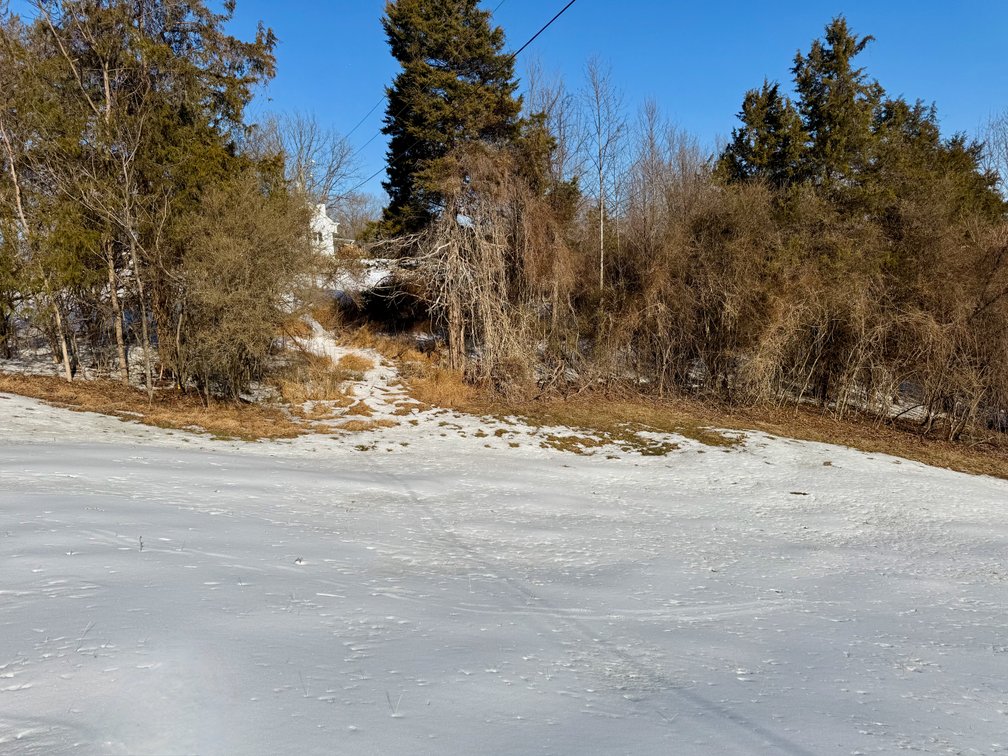 Image for 2 +/- Acre Madison County, VA Building Lot w/Approved Septic & Well Permits--ONLINE ONLY BIDDING!!